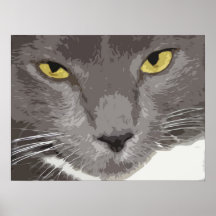 Artistic Gray Cat Face Poster
