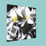 Artistic Plumeria Flowers Canvas Print canvas prints