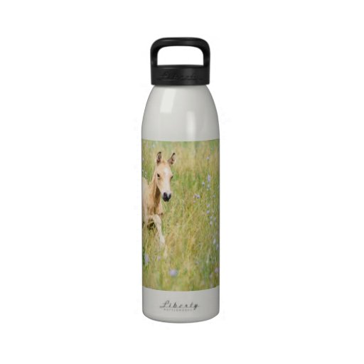 Artistic Wild Horse Foal Water Bottle