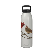 Artistic Wild Horse Foal Water Bottle