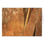 Artist's Point #2 cards