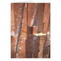 Artist's Point #3 cards by Sonomacats Artist's Point #3 cards