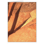 Artist's Point #4 cards