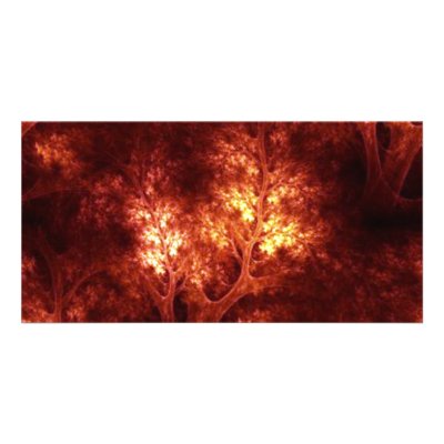 artsy_brown_trees photo card template by CreativeColours