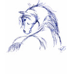 horses, ponies, arabian, welsh pony, caspian pony,