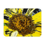 Artsy Sunflower Rectangle Magnets