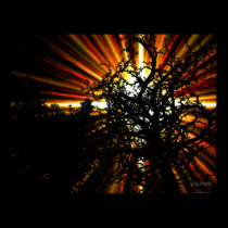 Artwork #0161 posters