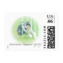 Artwork Australian Shepherd Agility Postage Stamps