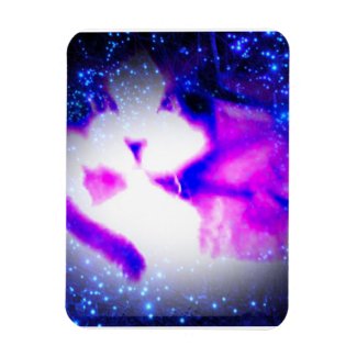 arty cat photo toxic purple double vision rectangular photo magnet