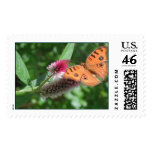 Aruba 2002 postage stamp