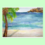 Aruba  Beach with Palm Tree postcards