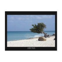 ARUBA fofoti tree Postcard