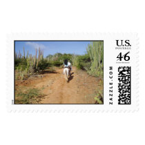 Aruba postage