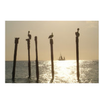 Aruba posters by apotenza Aruba posters