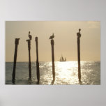 Aruba Posters