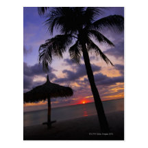 Aruba, silhouette of palm tree and palapa postcard