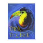 Aruba Toucan postcard