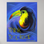 Aruba Toucan Poster posters