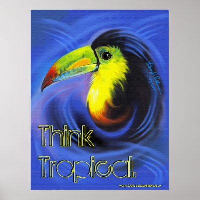 Aruba Toucan Poster by BeckCalli