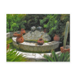 restaurant, garden, water, aruba, italy, italian,