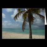 Aruban Beach Card