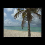 Aruban Beach Postcard