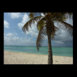 Aruban Beach Poster Print