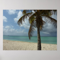 Aruban Beach Poster Print