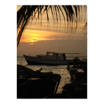 Aruban Sunset posters