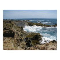 Aruban Surf posters