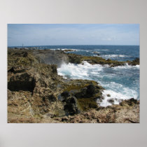 Aruban Surf Poster