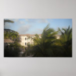 Aruban Treetops posters