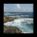 Aruba's Rocky Coast Magnet