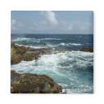 Aruba's Rocky Coast Magnet
