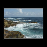 Aruba's Rocky Coast Postcard