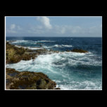 Aruba's Rocky Coast Postcard