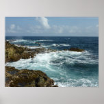 Aruba's Rocky Coast Poster Print