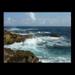 Aruba's Rocky Coast Poster Print