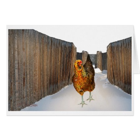 Arucana chicken in snow fence art Card card