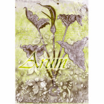Arum photo sculptures