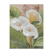 ARUMS POSTCARD / POSTAL by isabelalfarrobinha ARUMS POSTCARD / POSTAL