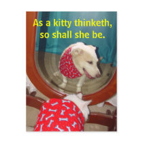 As a kitty thinketh... postcards by myrtieshuman As a kitty thinketh... postcards