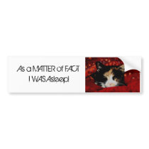 As a MATTER of FACT I WAS Asleep! Bumper Stickers
