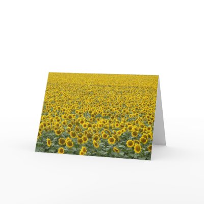 As Far as the Eye Can See Cards by codfishlady