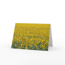 As Far as the Eye Can See cards by codfishlady As Far as the Eye Can See cards