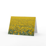 As Far as the Eye Can See cards