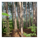 As Free as the wind blows...Poster posters