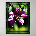 As the bee needs the flower, so the flower needs t poster