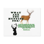 As the Deer Post Card