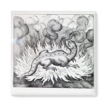 As the Salamander lives in fire Refrigerator Magnets